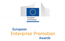Premiile pentru Promovarea Întreprinderilor Europene în România, ediția 2019