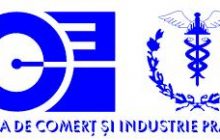 Brexit – Înțelegere și Adaptare a Mediului Antreprenorial
