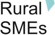Eveniment de punere în contact a agenților economici din județul Bistrița-Năsăud cu institute de cercetare-dezvoltare prin intermediul  HUB-ului de Inovare  „Rural SMEs”