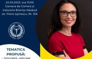 Seminar interactiv Forta majora