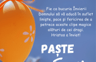 Sarbatori fericite !