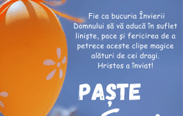 Sarbatori fericite !