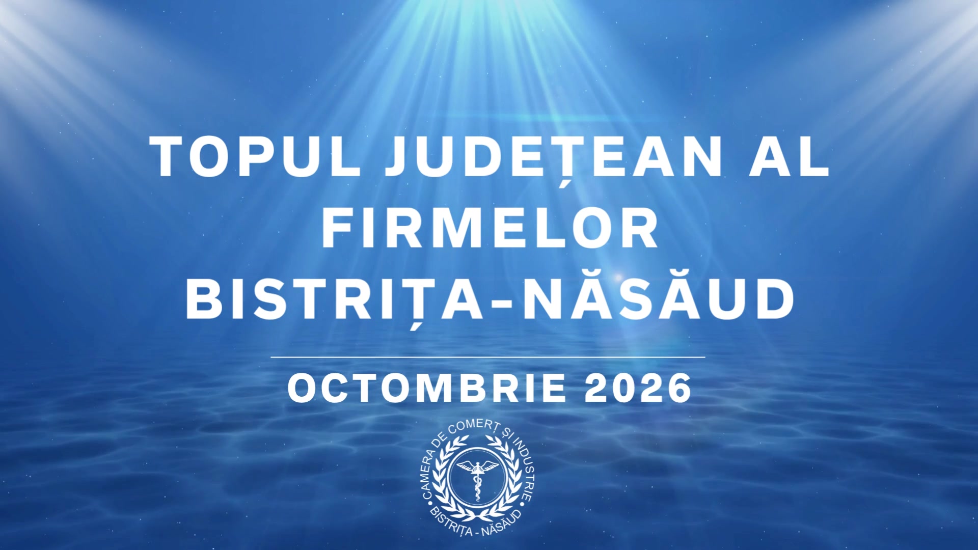 TOPUL JUDEȚEAN AL FIRMELOR – BISTRIȚA-NĂSĂUD