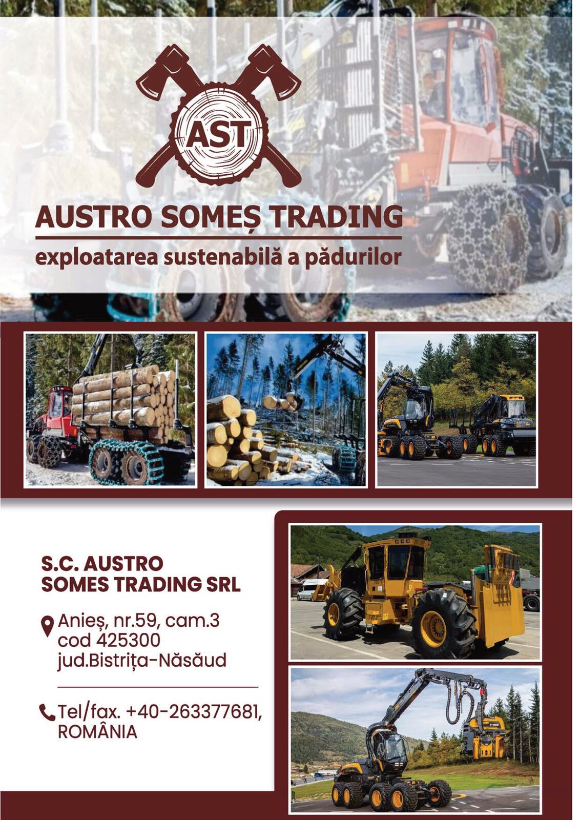 Reclamă catalog
