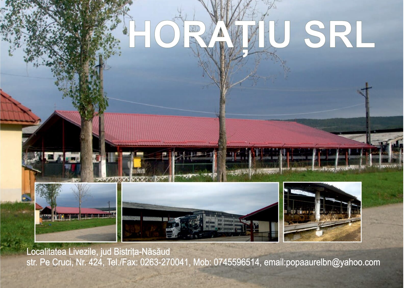 Reclamă catalog