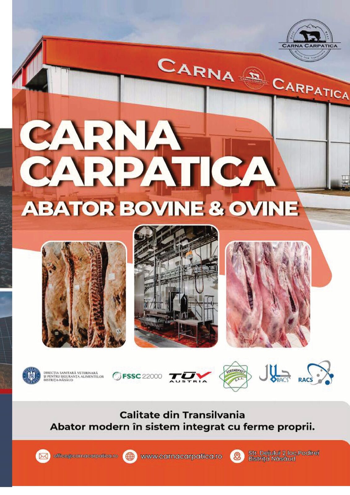 Reclamă catalog